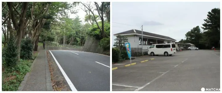 Visit Jogasaki Coast for its Amazing Views and an Unforgettable Experience