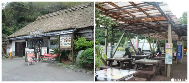 Visit Jogasaki Coast for its Amazing Views and an Unforgettable Experience