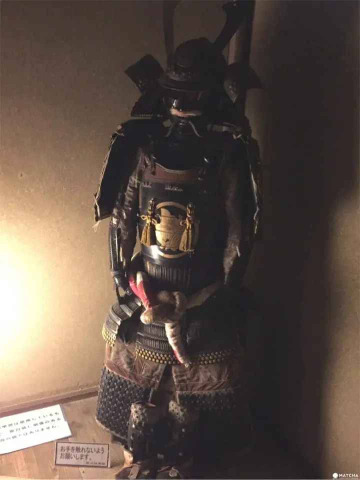 Kakegawa Castle, Shizuoka: An Authentic Castle Experience Awaits You