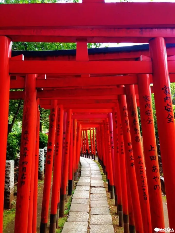 不只櫻花，東京的春天還有根津神社的杜鵑花祭不容錯過！