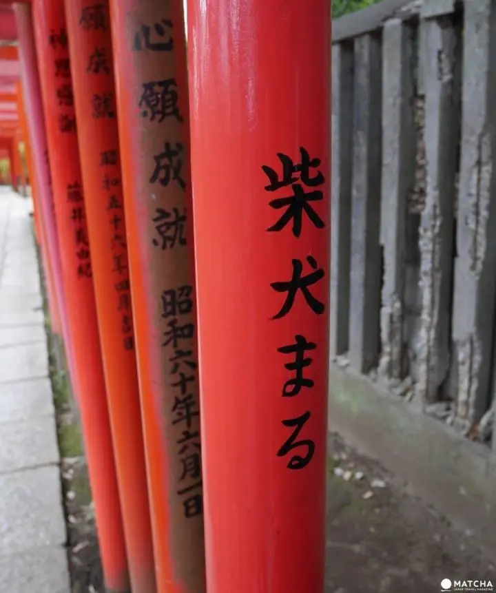 不只櫻花，東京的春天還有根津神社的杜鵑花祭不容錯過！