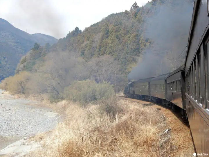Ride a steam locomotive up Shizuoka's scenic Oigawa River valley and stay at a Noka Minshuku, a B&B run by a farming family offering genuine hospitality and memories you'll treasure.