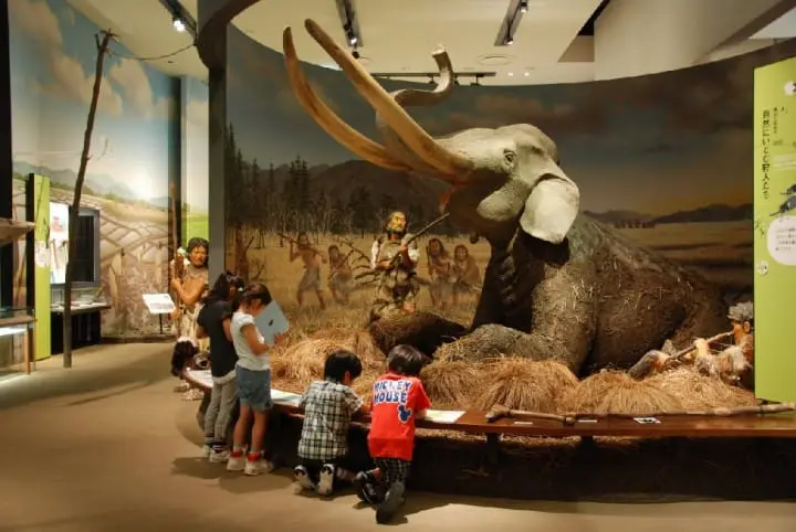 兵庫縣立考古博物館