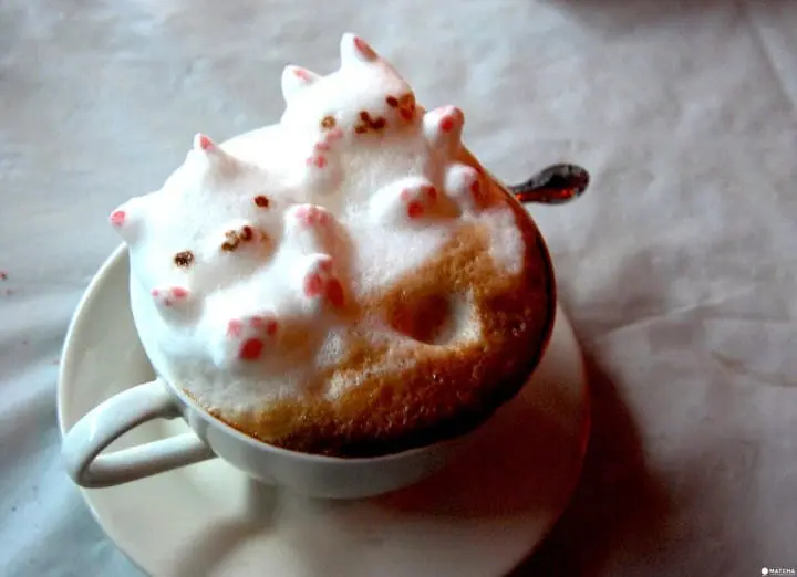 【京都】在地人诚挚推荐 平安神宫散步甜点店四选 