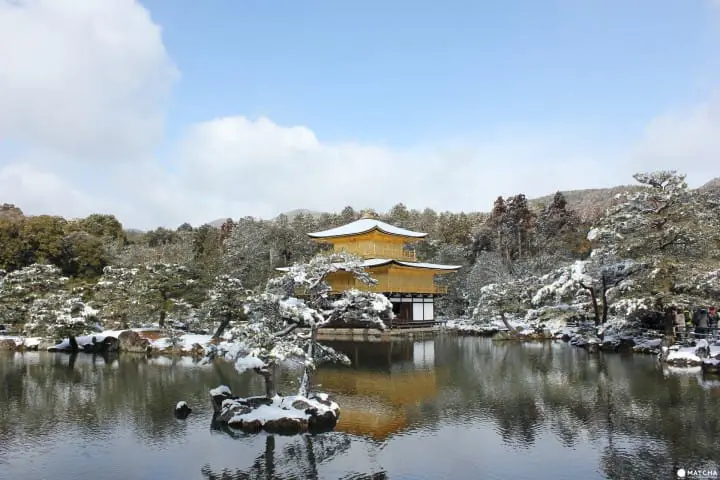 【京都】向西前行！搭上101号洛巴士将五百块一日券用到极致