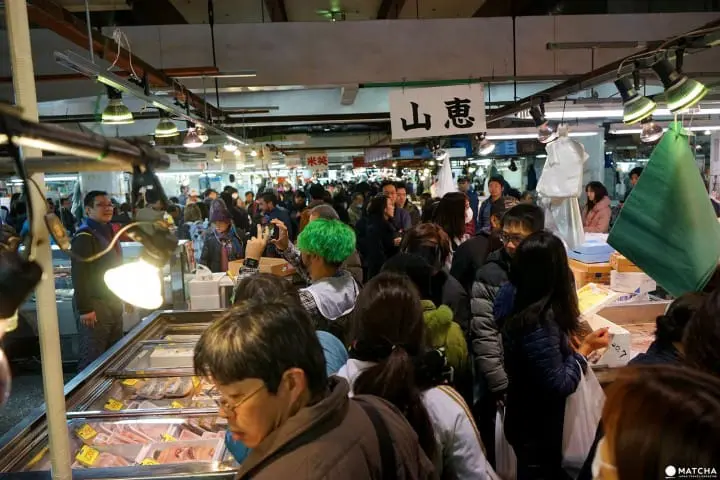 数十種の魚介類を身近で見られる足立市場ワーキングツアー