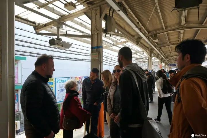 数十種の魚介類を身近で見られる足立市場ワーキングツアー