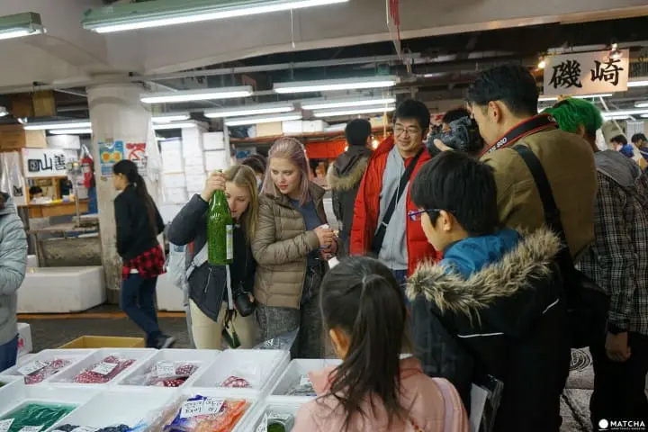 数十種の魚介類を身近で見られる足立市場ワーキングツアー