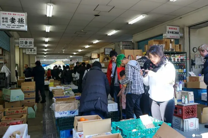 数十種の魚介類を身近で見られる足立市場ワーキングツアー