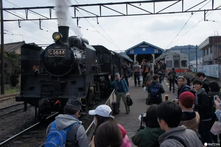 A memorable excursion by steam locomotive through Shizuoka’s tea fields and the scenic Oigawa River 