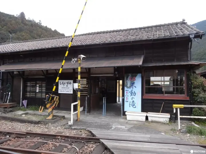 A memorable excursion by steam locomotive through Shizuoka’s tea fields and the scenic Oigawa River 