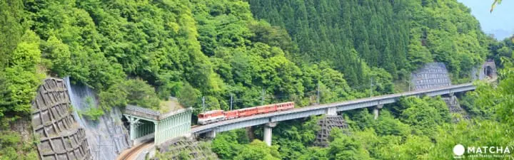 A memorable excursion by steam locomotive through Shizuoka’s tea fields and the scenic Oigawa River 