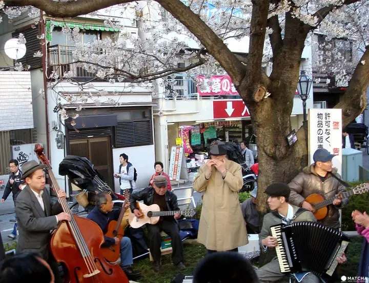 Tokyo’s Cherry Blossoms Spirit: A Photo Book