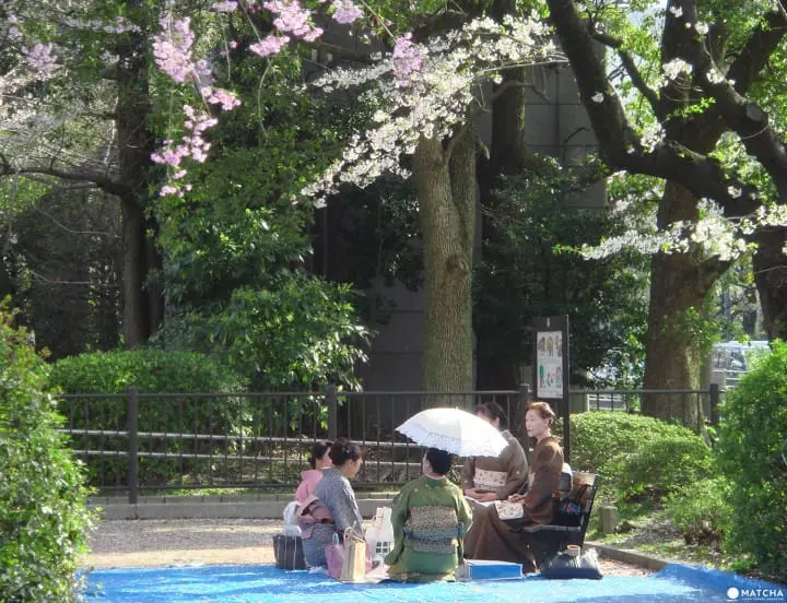Tokyo’s Cherry Blossoms Spirit: A Photo Book