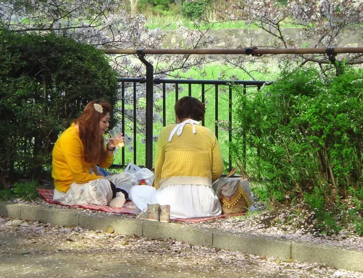Tokyo’s Cherry Blossoms Spirit: A Photo Book