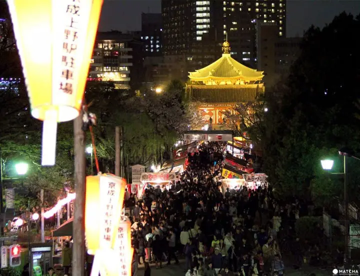 Tokyo’s Cherry Blossoms Spirit: A Photo Book