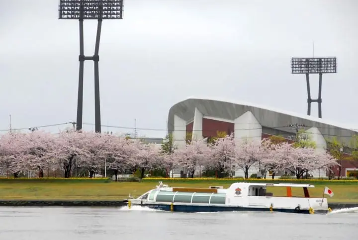 新潟：桜ウォーターシャトル