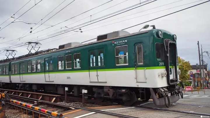 京都八幡市 赏樱 告白的最佳地点淀川河川公园背割堤