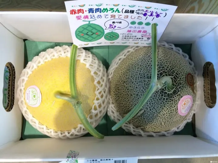 【札幌狸小路】北海道名产伴手礼购物资讯大公开