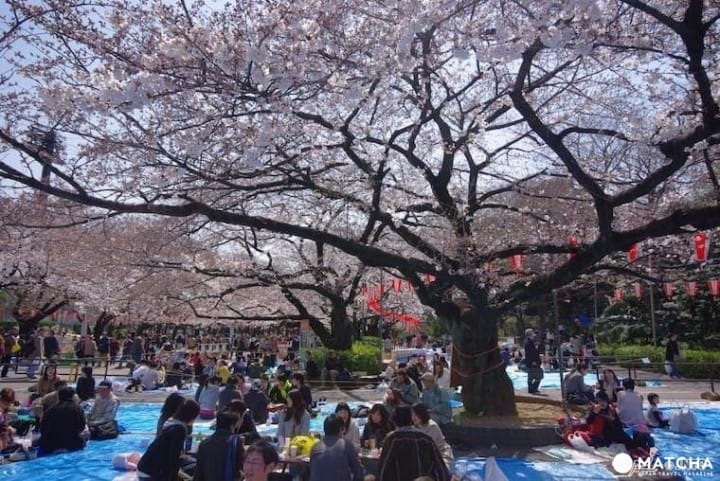 上野公園完全指南。園內的設施與看點大解說