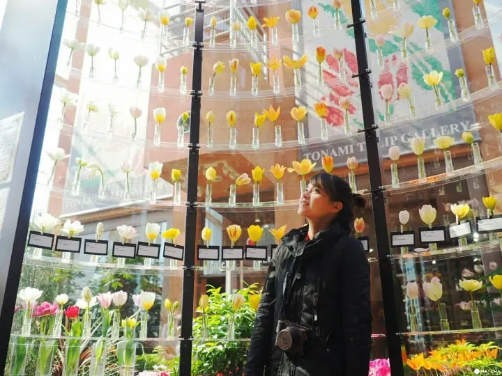 郁金香四季彩馆