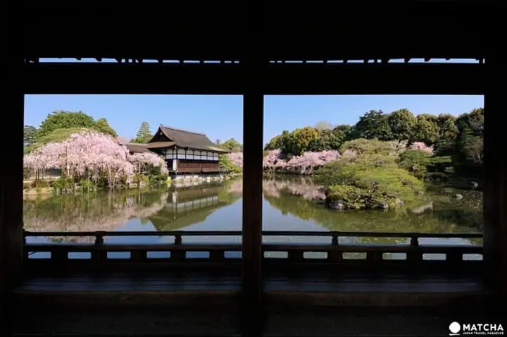 【京都】旺季時最快的移動方式！京都市地下鐵景點介紹——東西線賞櫻篇