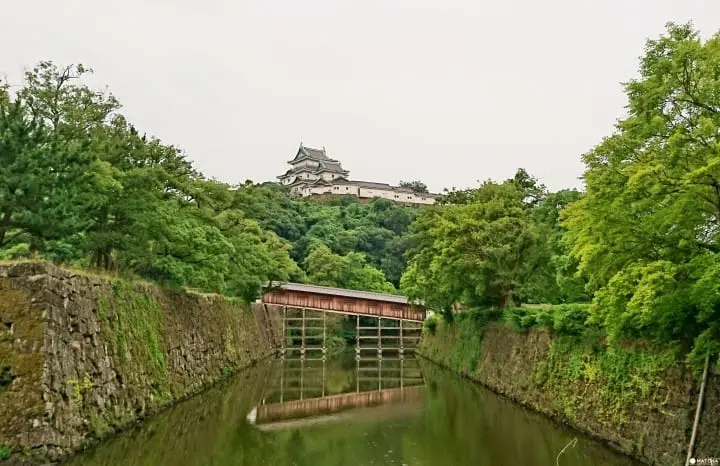 【和歌山】 賞櫻！賞城！賞喵星人!