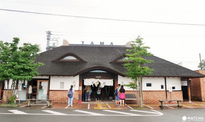 【和歌山】 賞櫻!賞城!賞喵星人!