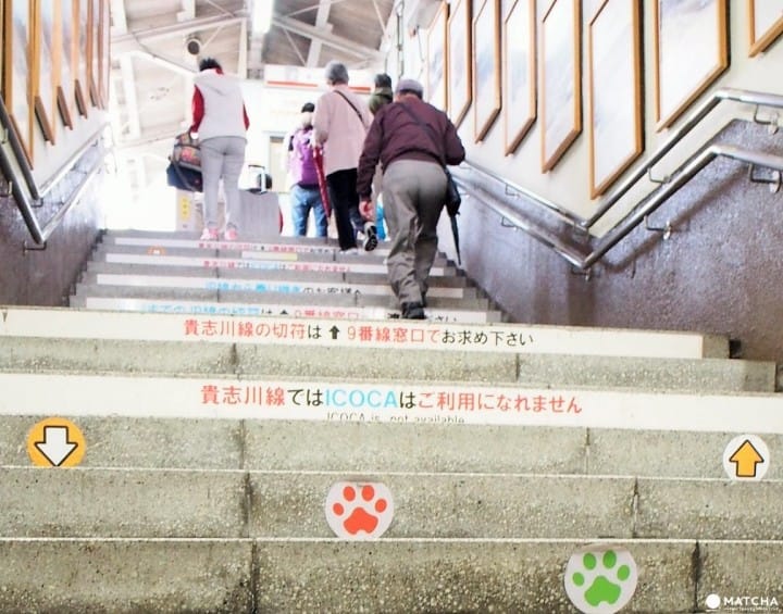 【和歌山】 賞櫻!賞城!賞喵星人!