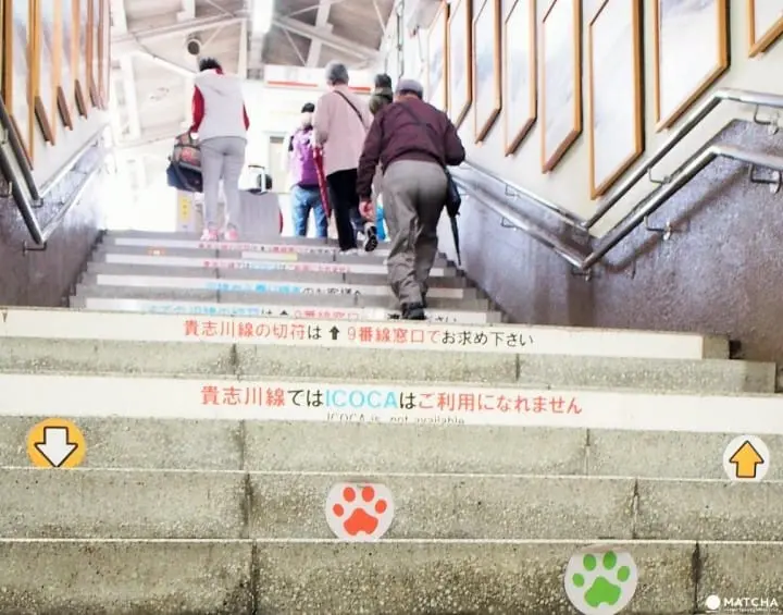 【和歌山】 賞櫻！賞城！賞喵星人!