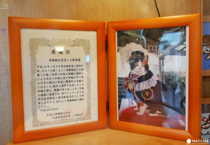 【和歌山】 賞櫻!賞城!賞喵星人!