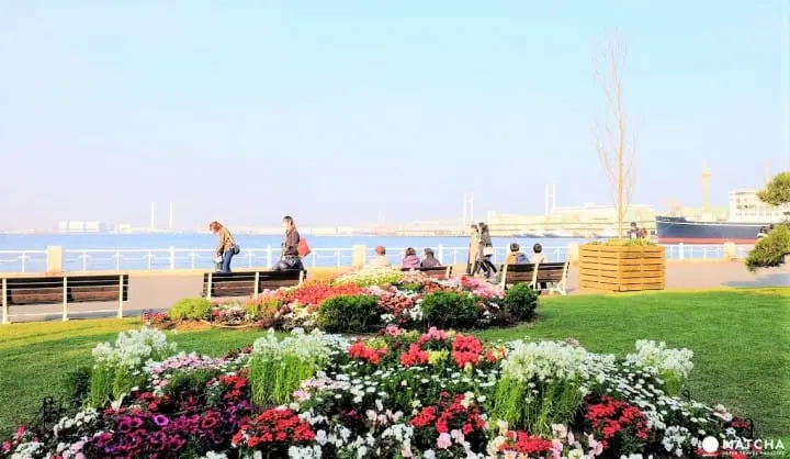 【横浜観光】SNS映えする絶景写真が撮れる！春～初夏にオススメの横浜観光モデルルート