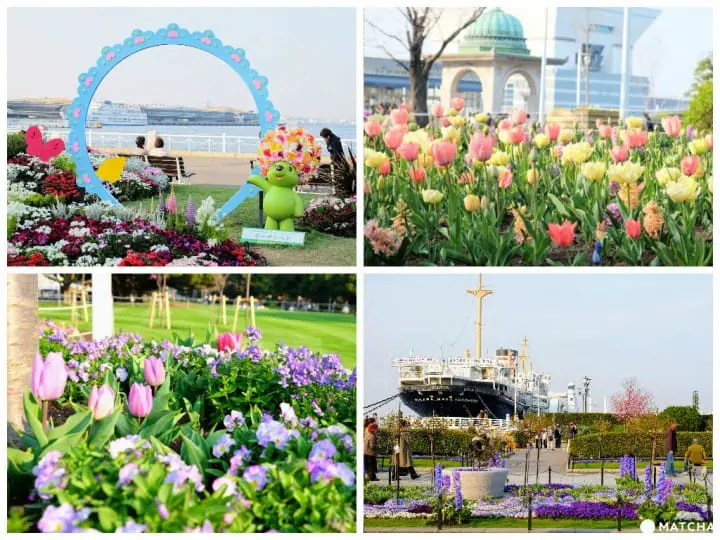 【横浜観光】SNS映えする絶景写真が撮れる！春～初夏にオススメの横浜観光モデルルート