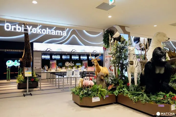 【横浜観光】SNS映えする絶景写真が撮れる！春～初夏にオススメの横浜観光モデルルート