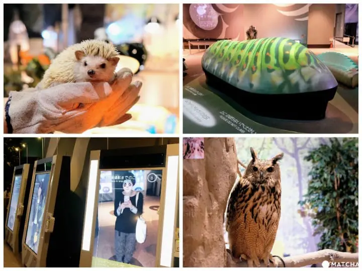 【横浜観光】SNS映えする絶景写真が撮れる！春～初夏にオススメの横浜観光モデルルート