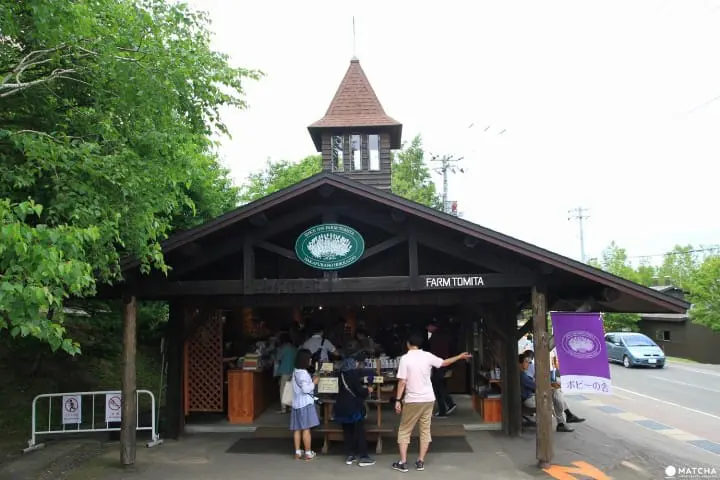 Furano-Biei – A summer escape to fairytale world