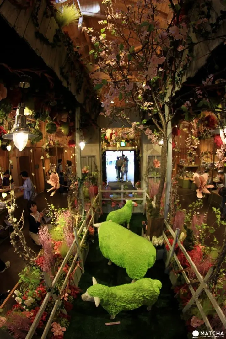 Furano-Biei – A summer escape to fairytale world