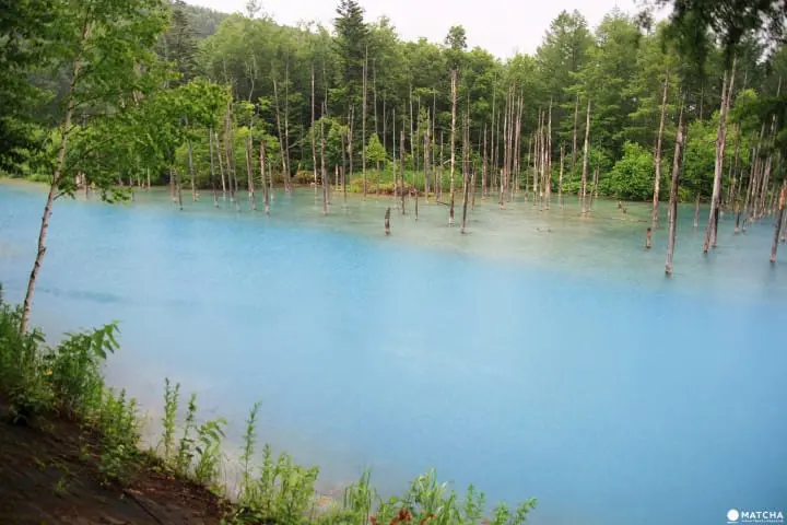 Furano-Biei – A summer escape to fairytale world