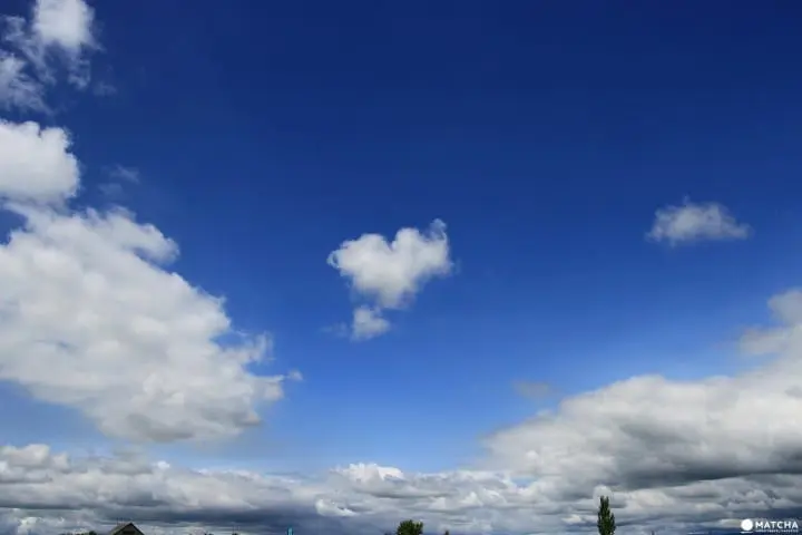 Furano-Biei – A summer escape to fairytale world