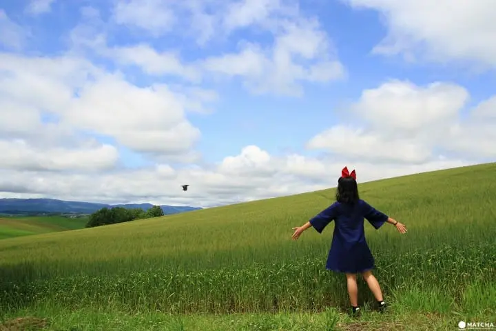Furano-Biei – A summer escape to fairytale world