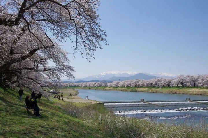 【东北宫城】交通票券新选择！仙台一日券SENDAI AREA PASS