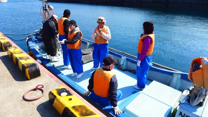 長崎縣松浦青島抓章魚