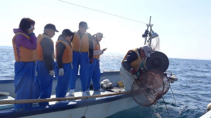長崎縣松浦青島抓章魚