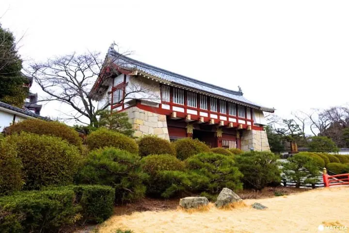 【京都】什麼！？京都也有城！京都伏見桃山城