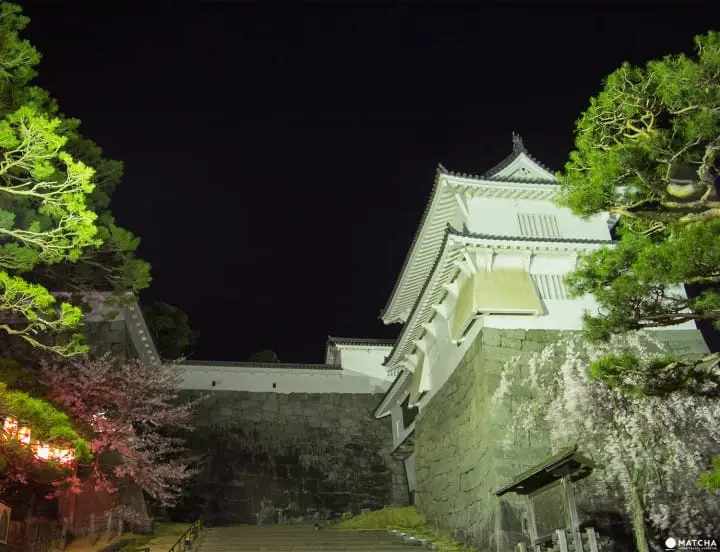 Fukushima's Two Castles and One Park Make an Exquisite Place for Cherry Blossom Viewing