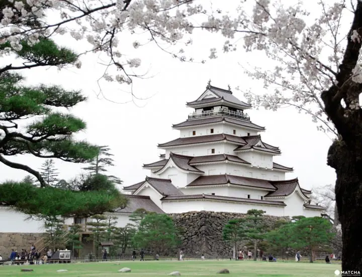 Fukushima's Two Castles and One Park Make an Exquisite Place for Cherry Blossom Viewing