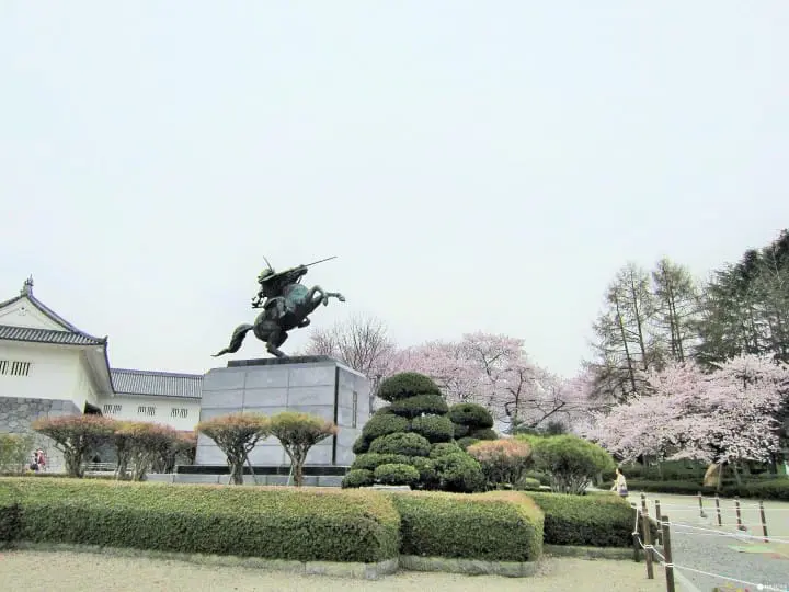 【東北】山形霞城公園的療癒系櫻花
