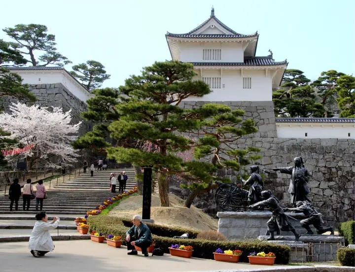 Cherry Blossom Viewing in Fukushima's Two Castles