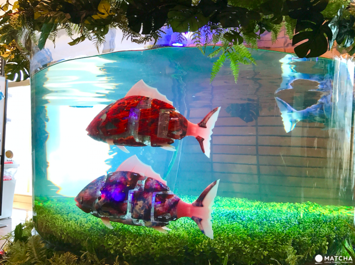 「奇怪的飯店」