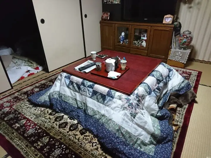 鹿儿岛出水市 来去住一晚宇德太太的民宿